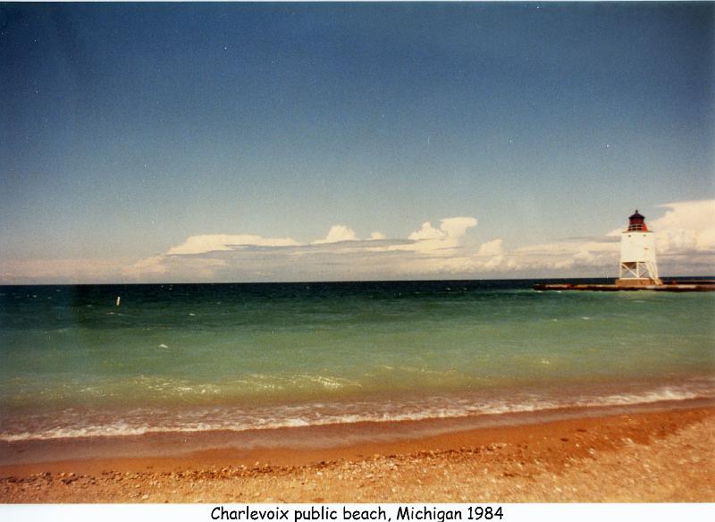 1984_46a_mich