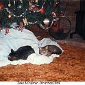 1984_110e_xmas_cat