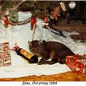 1984_115_xmas_cat