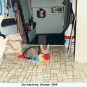 1984_83a_cat