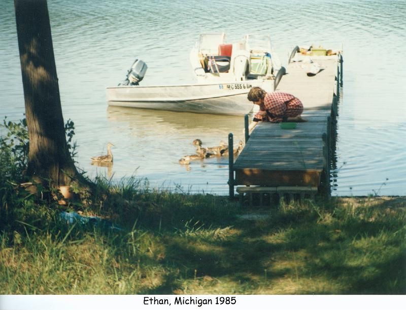 1985_43a_mich_eg