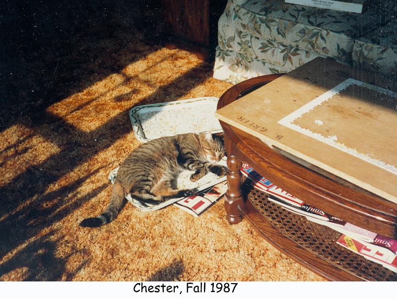 1987_46_cat