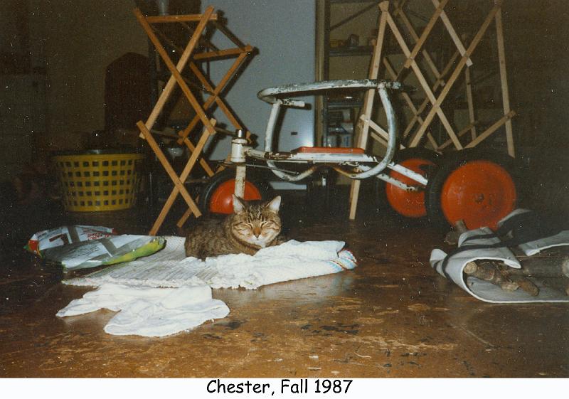 1987_70i_cat