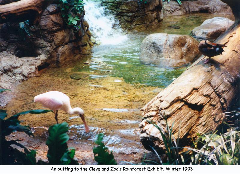 1993_01_zoo