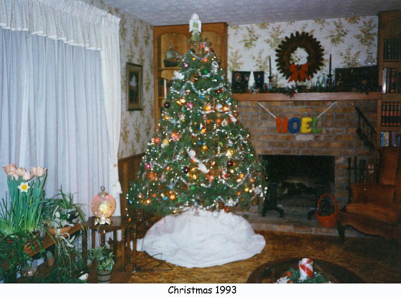 1993_37g_xmas