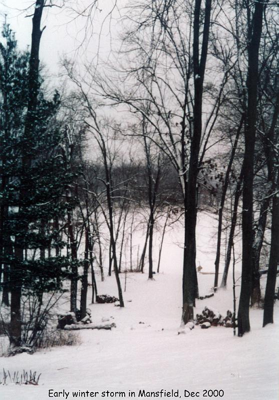 2000_12_03e_mansfield