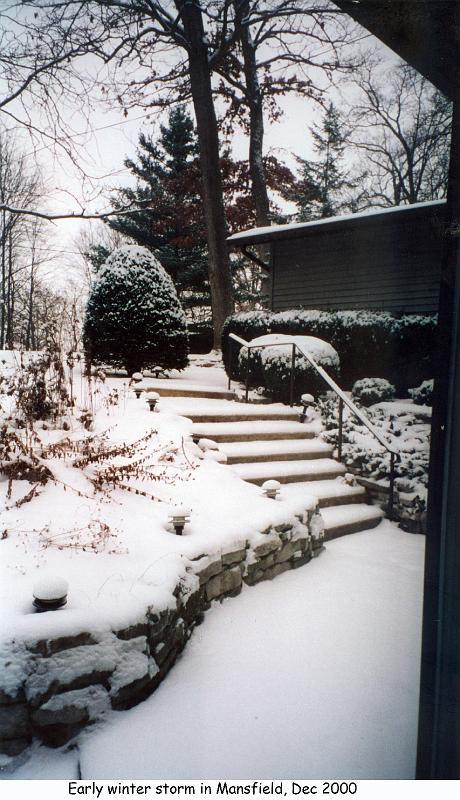 2000_12_03f_mansfield