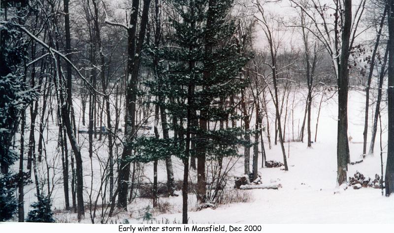 2000_12_03g_mansfield