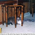 2001_03_15_cat
