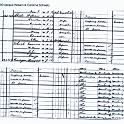 1880_census_scheetz