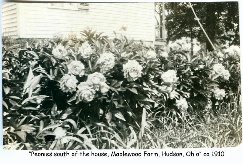 1910_maplewood_farm_1910-2