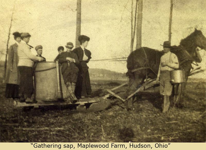 1911_Maplewood_gathering_sap