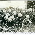 1910_maplewood_farm_1910-2