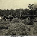 1911_Maplewood_haying2