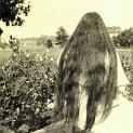 1911_clark_m