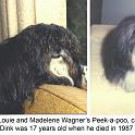 1982_Wagner_Louie_Dink