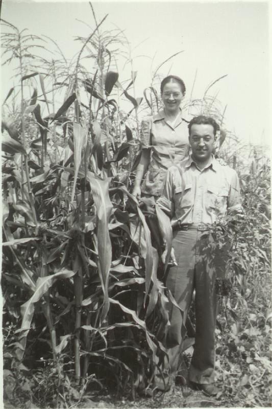 1941_wag_d_l-4