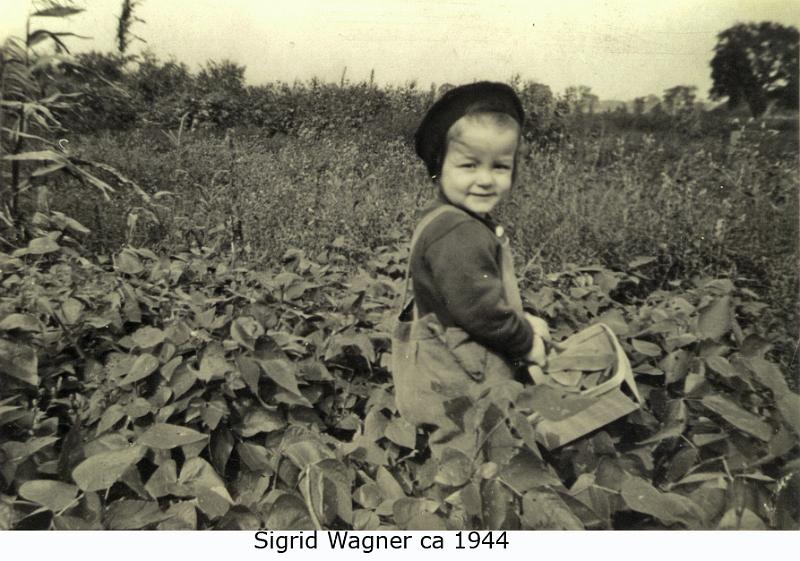 1944_wag_s-2