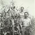 1941_wag_d_l-4
