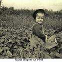 1944_wag_s-2