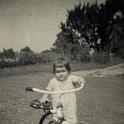 1950_wag_r-2