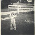 1950_wag_r