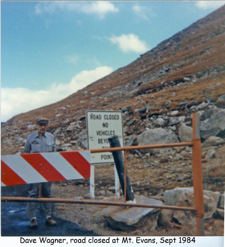 1984_Wag_D