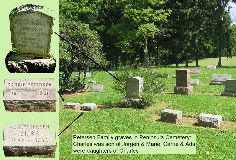 2005_Petersen_graves2