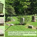 2005_Petersen_graves2