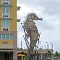 IMG_1639