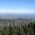 IMG_3355