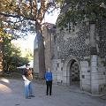 IMG_1393