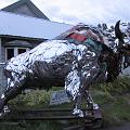 IMG_0860