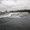 IMG_1495