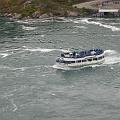 IMG_1501