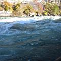 IMG_1604
