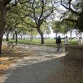 IMG_2790