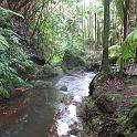 IMG_1361