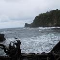 IMG_1371