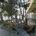 IMG_4104b