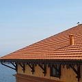 IMG_4106