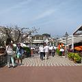 IMG_4124