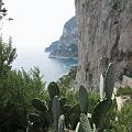 IMG_4178