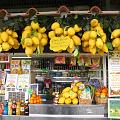 IMG_4193