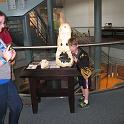 IMG_7046