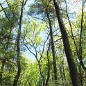 IMG_9289