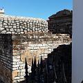 IMG_1739b