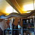 IMG_8624-29