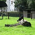 IMG_4111