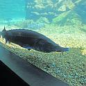 IMG_7561